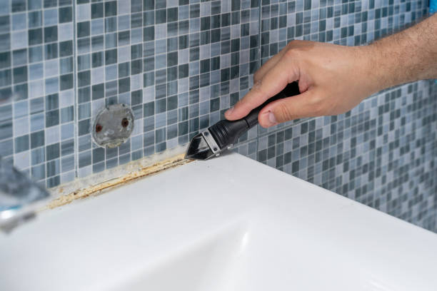 Office Mold Removal Services in Montevideo, MN